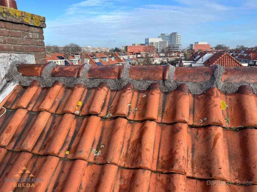 Breda Daken Renoveren Breda Daken Renoveren